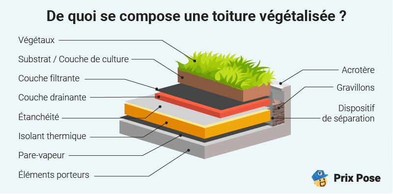 Schéma : De quoi se compose une toiture végétalisée ?