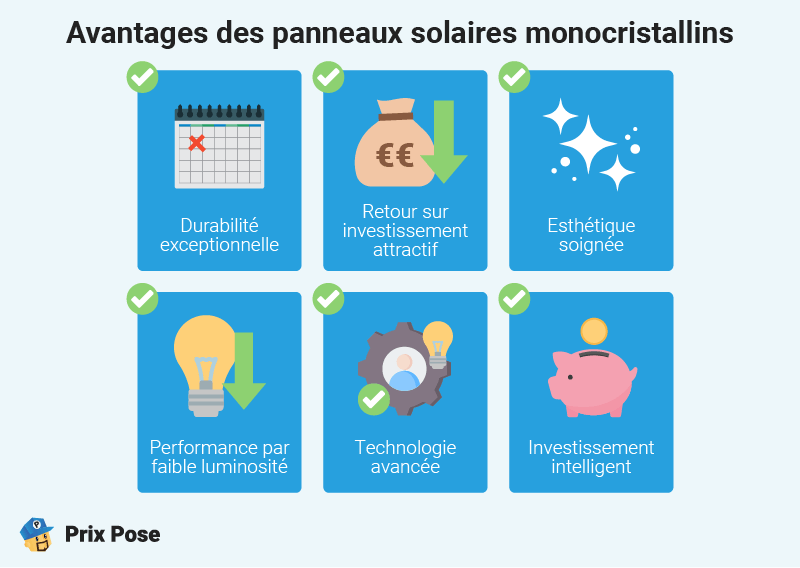 Qu’est-ce qui fait le succès des panneaux solaires monocristallins ?